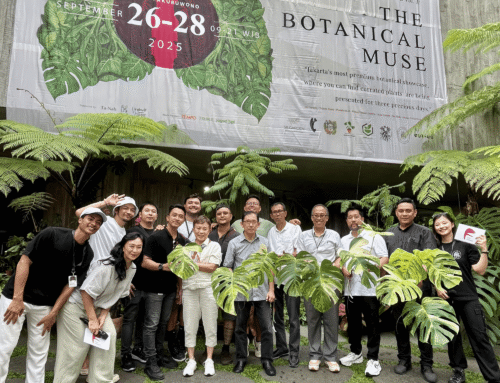 Folia Fantasia Vol. 2 The Botanical Muse di Bumi Pakubuwono, Surga Bagi Pecinta Tanaman Premium